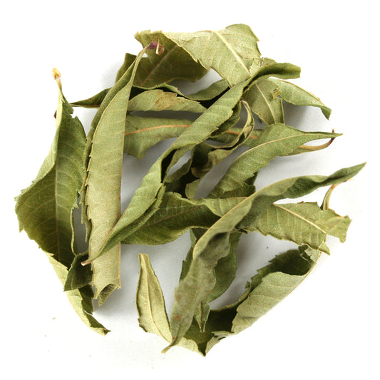 Lemon Verbena Organic