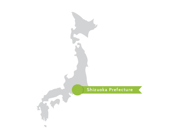 Shizuoka, Japan Shizuoka, Japan